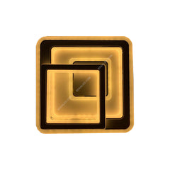 Aplica LED RFAN, Model 8098, 3 Tipuri de Lumina, 48W, Alb