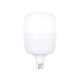 Bec LED RFAN, E27, Lumina Rece, 6000K, 20W